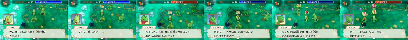 キモリ.jpg
