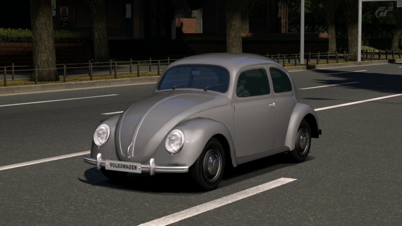 Beetle1100-49-1.jpg